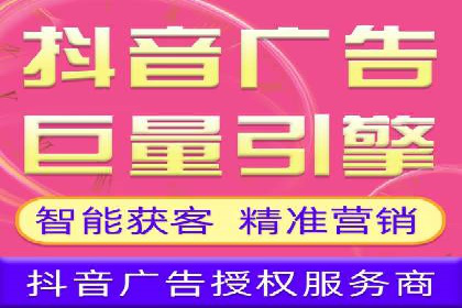 SEM搜索引擎优化案例：如何提升网站流量和转化率